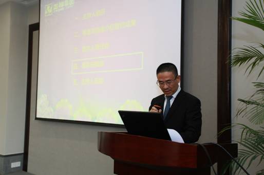 房地产咨询成果案例